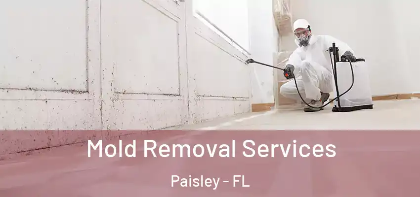 Mold Removal Services Paisley - FL