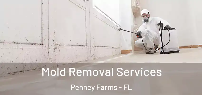  Mold Removal Services Penney Farms - FL