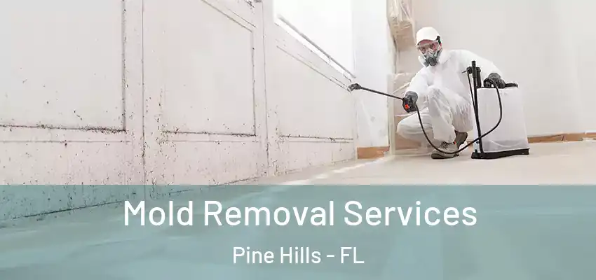  Mold Removal Services Pine Hills - FL