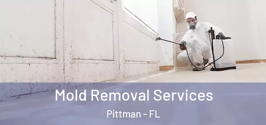  Mold Removal Services Pittman - FL