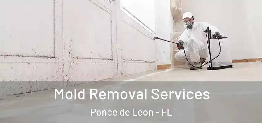 Mold Removal Services Ponce de Leon - FL