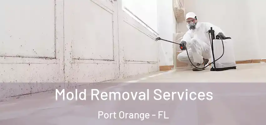 Mold Removal Services Port Orange - FL