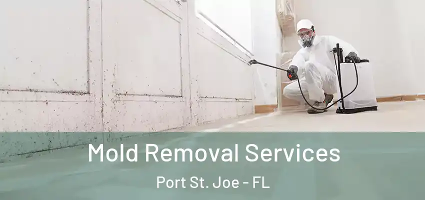  Mold Removal Services Port St. Joe - FL