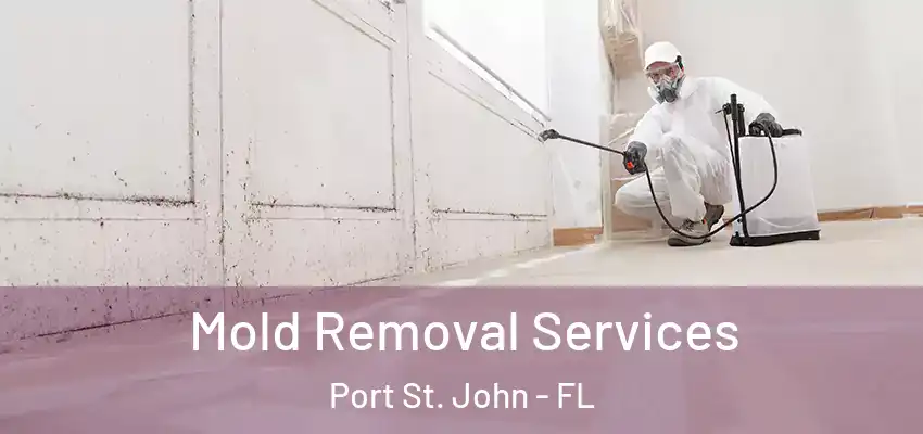  Mold Removal Services Port St. John - FL