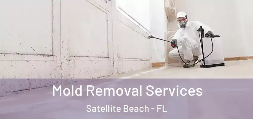  Mold Removal Services Satellite Beach - FL