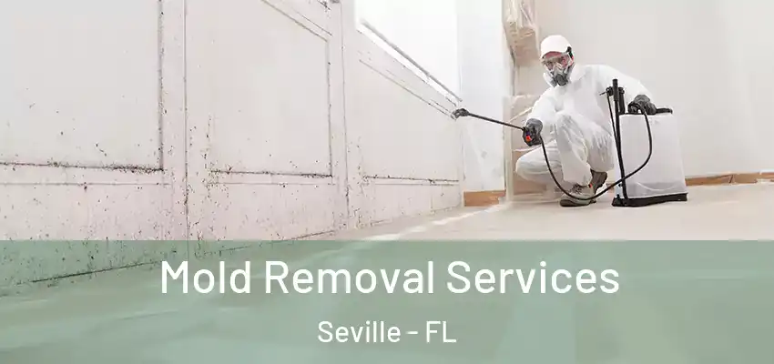  Mold Removal Services Seville - FL
