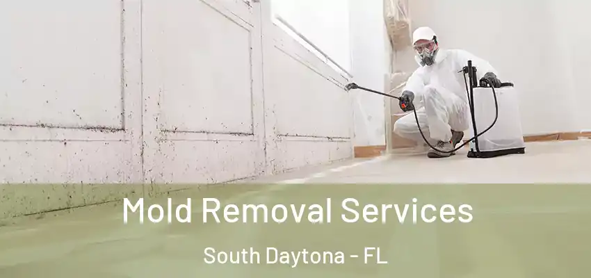  Mold Removal Services South Daytona - FL