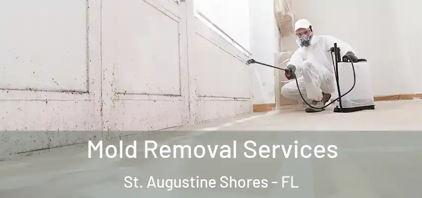 Mold Removal Services St. Augustine Shores - FL