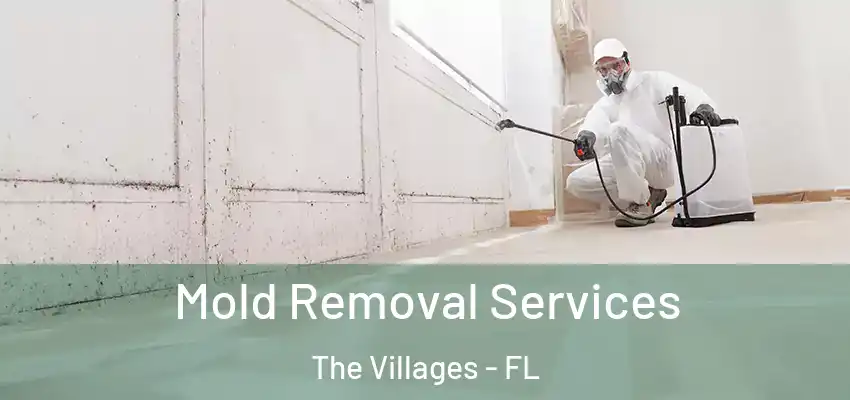  Mold Removal Services The Villages - FL