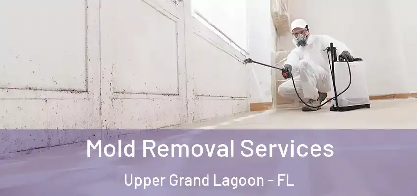 Mold Removal Services Upper Grand Lagoon - FL