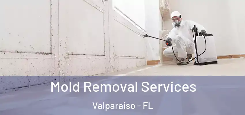  Mold Removal Services Valparaiso - FL