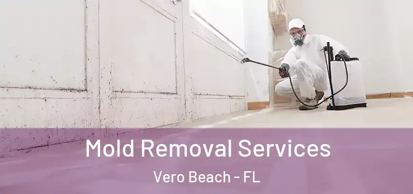 Mold Removal Services Vero Beach - FL