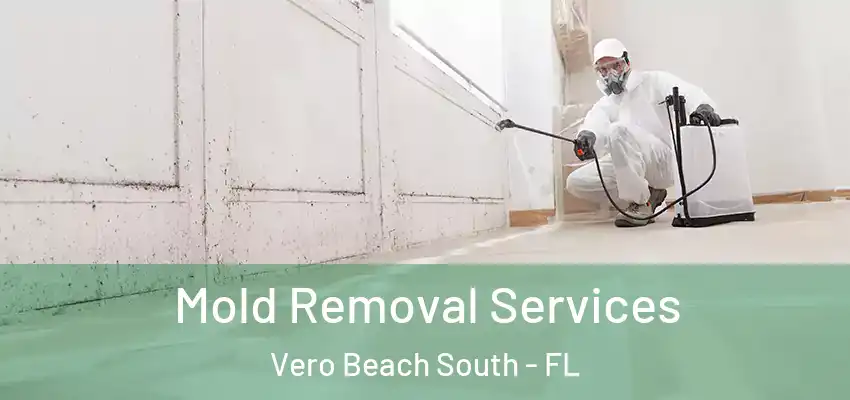  Mold Removal Services Vero Beach South - FL