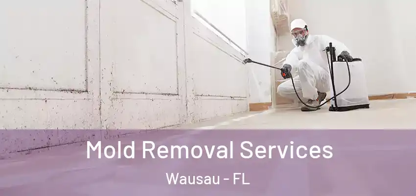  Mold Removal Services Wausau - FL