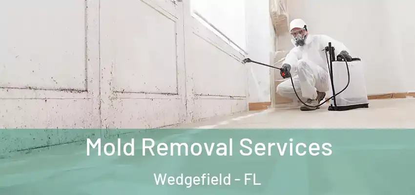  Mold Removal Services Wedgefield - FL
