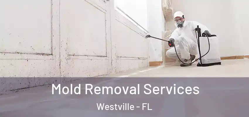 Mold Removal Services Westville - FL