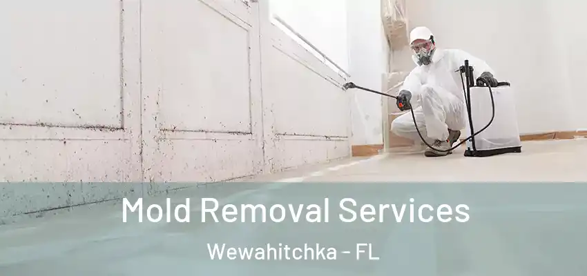  Mold Removal Services Wewahitchka - FL