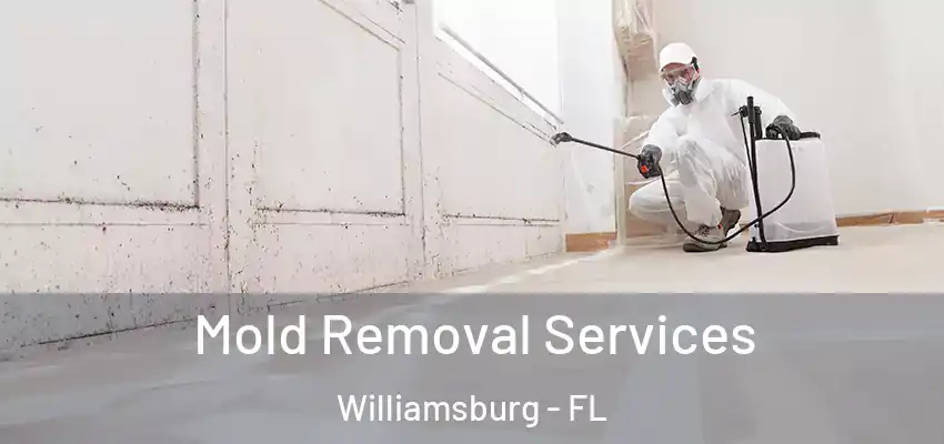  Mold Removal Services Williamsburg - FL
