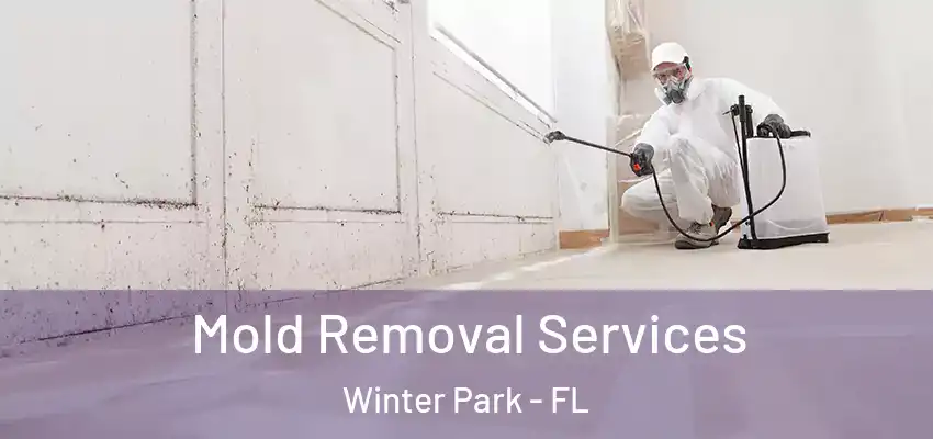 Mold Removal Services Winter Park - FL