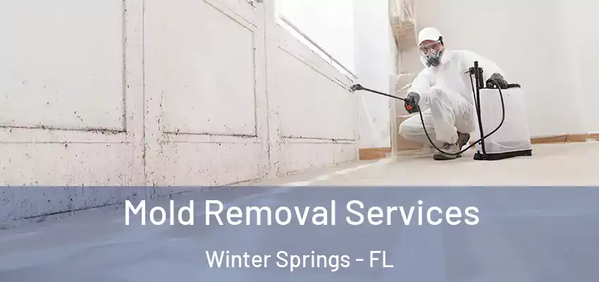 Mold Removal Services Winter Springs - FL