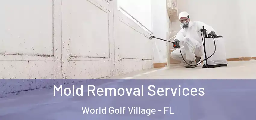  Mold Removal Services World Golf Village - FL
