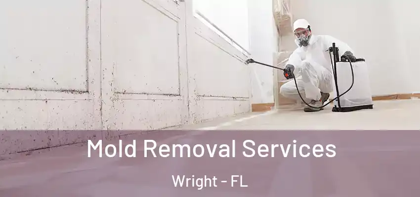  Mold Removal Services Wright - FL