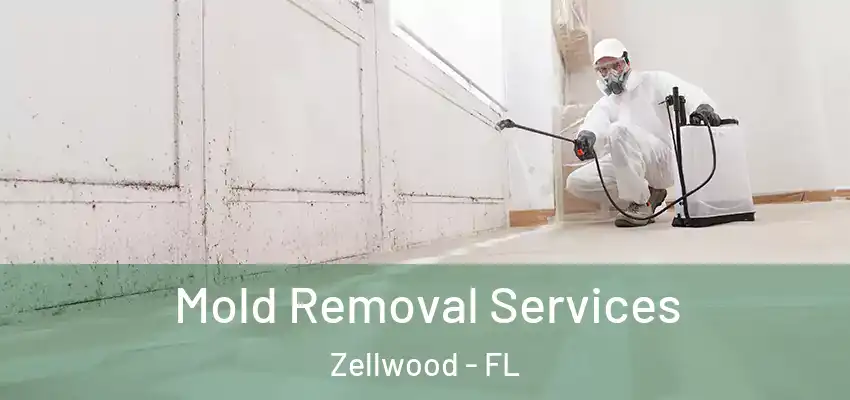  Mold Removal Services Zellwood - FL