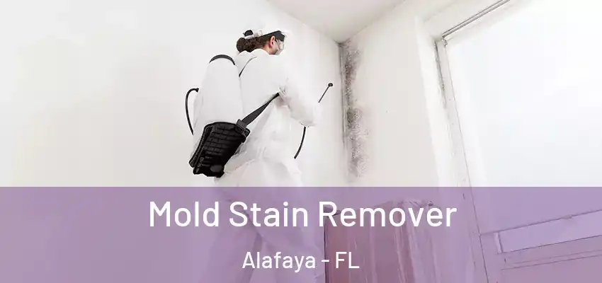  Mold Stain Remover Alafaya - FL