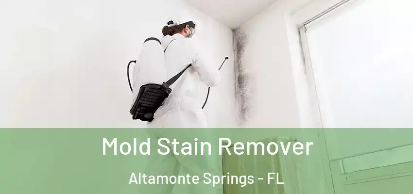  Mold Stain Remover Altamonte Springs - FL