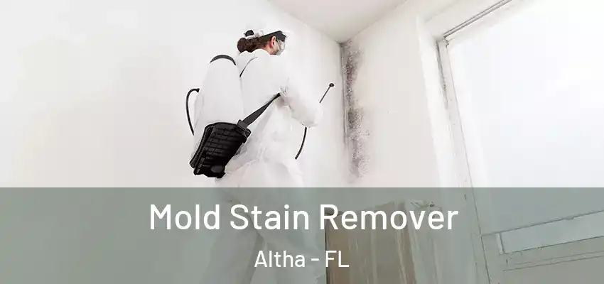 Mold Stain Remover Altha - FL