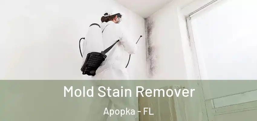  Mold Stain Remover Apopka - FL