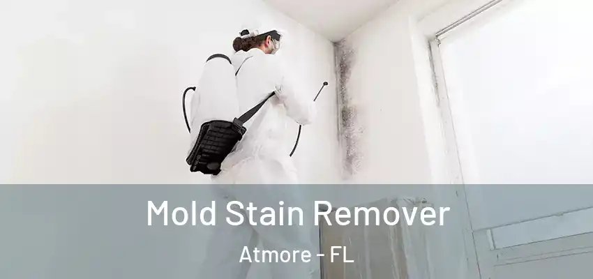 Mold Stain Remover Atmore - FL