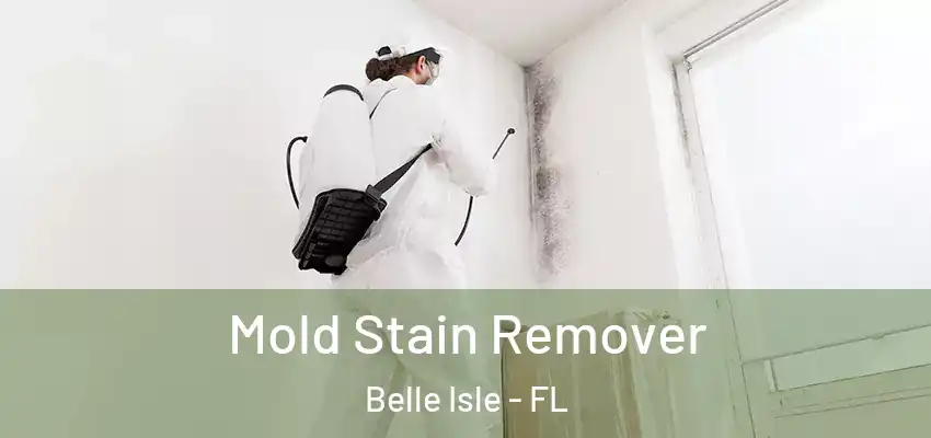  Mold Stain Remover Belle Isle - FL