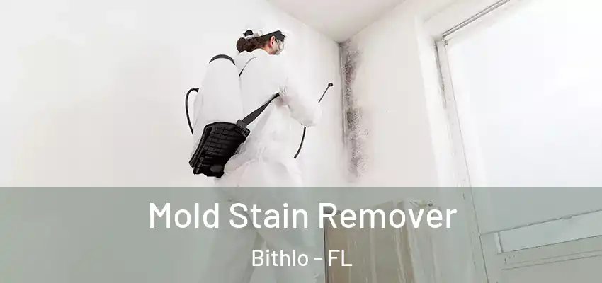  Mold Stain Remover Bithlo - FL