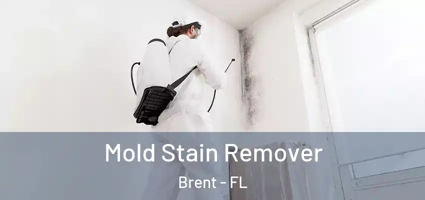  Mold Stain Remover Brent - FL