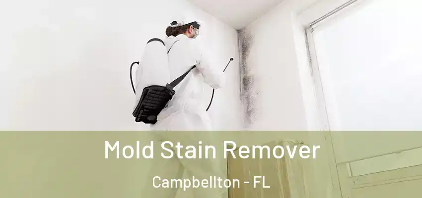  Mold Stain Remover Campbellton - FL
