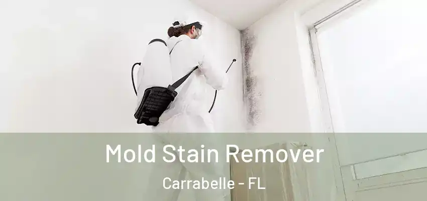  Mold Stain Remover Carrabelle - FL