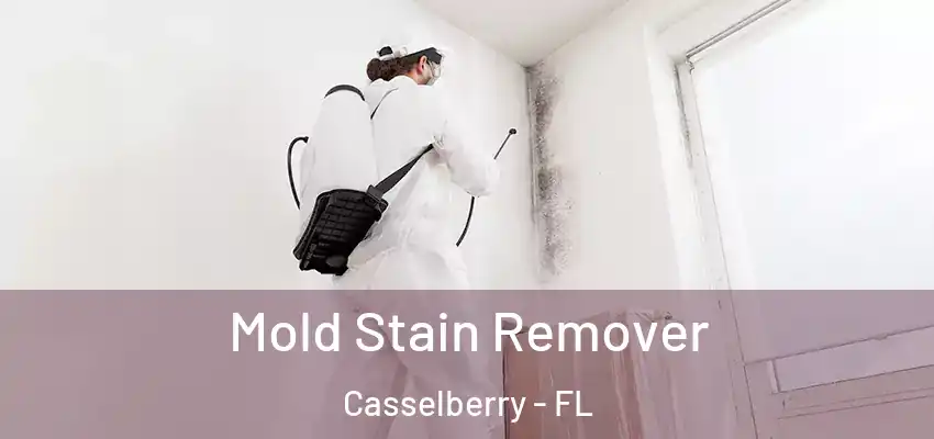  Mold Stain Remover Casselberry - FL