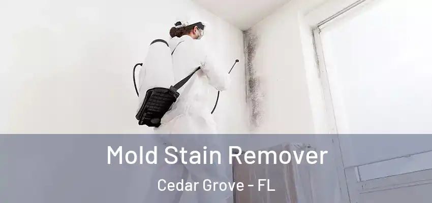  Mold Stain Remover Cedar Grove - FL