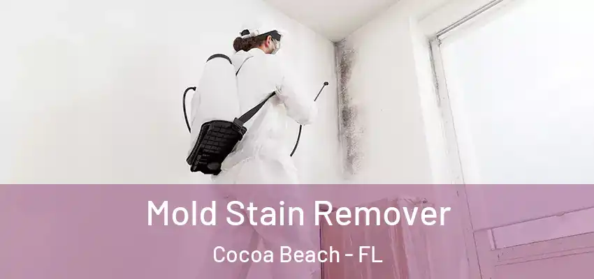  Mold Stain Remover Cocoa Beach - FL