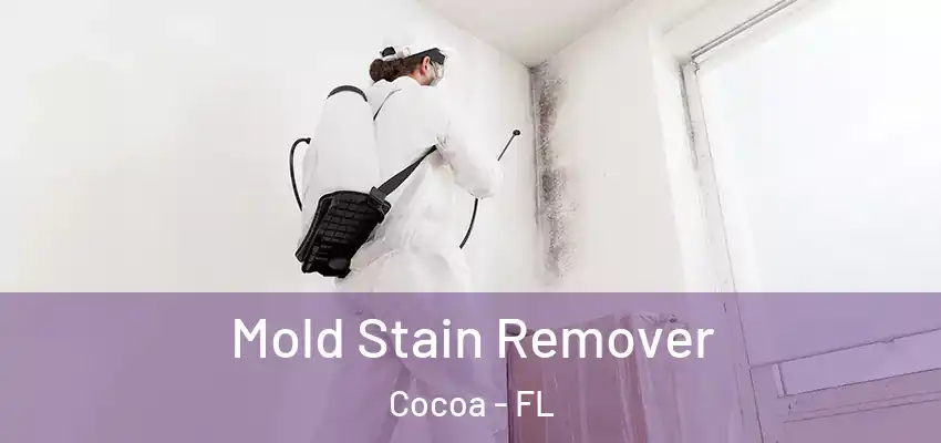  Mold Stain Remover Cocoa - FL