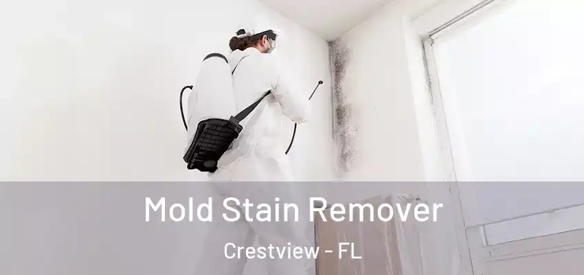  Mold Stain Remover Crestview - FL