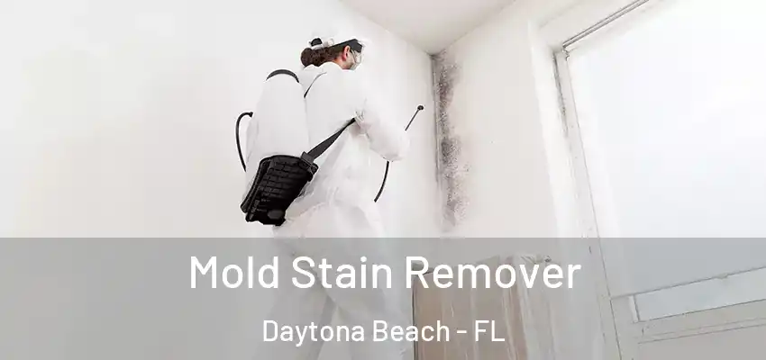 Mold Stain Remover Daytona Beach - FL