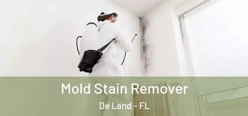  Mold Stain Remover De Land - FL