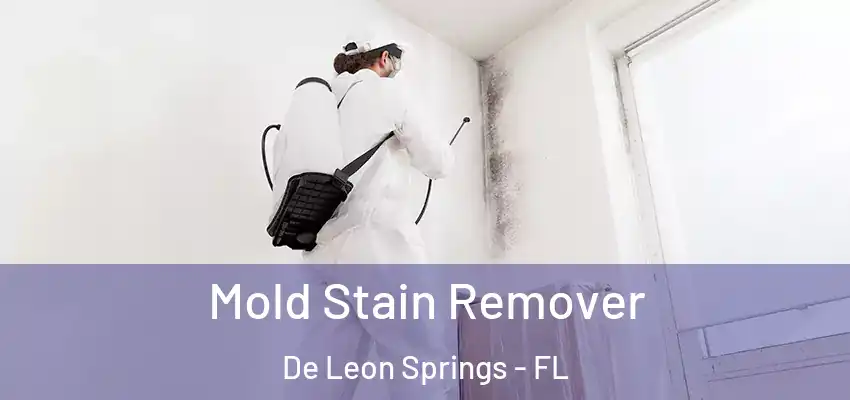  Mold Stain Remover De Leon Springs - FL