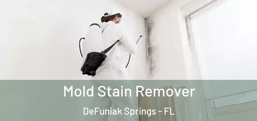 Mold Stain Remover DeFuniak Springs - FL
