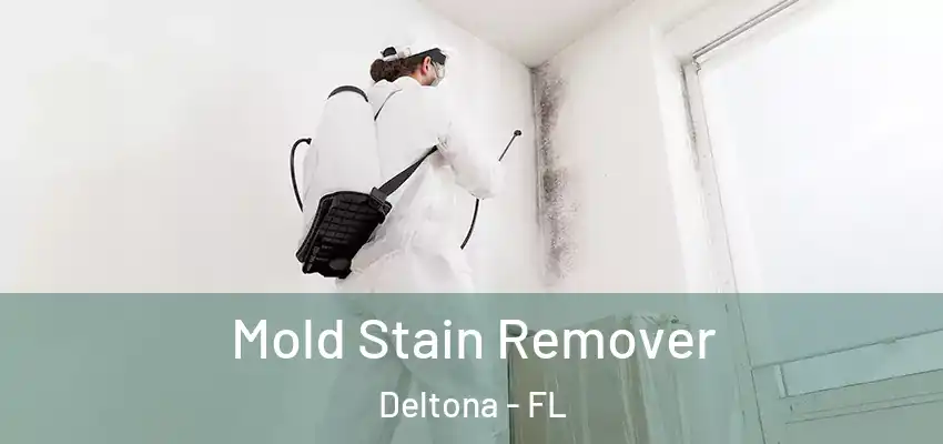  Mold Stain Remover Deltona - FL