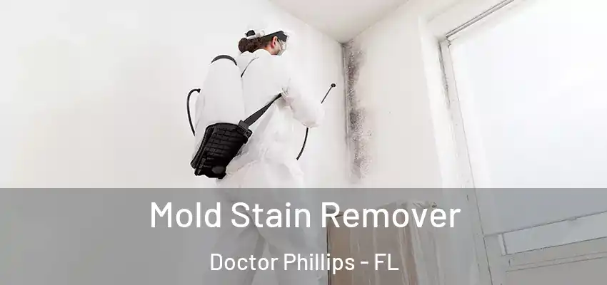  Mold Stain Remover Doctor Phillips - FL