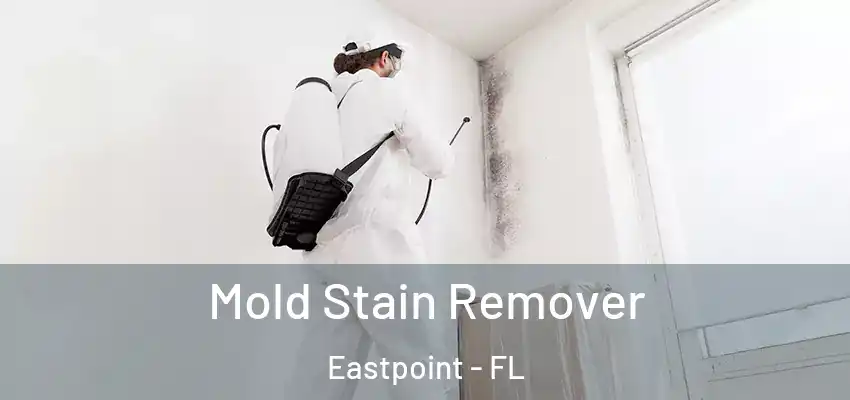 Mold Stain Remover Eastpoint - FL