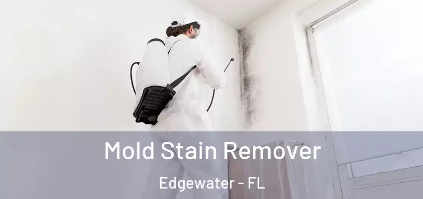  Mold Stain Remover Edgewater - FL
